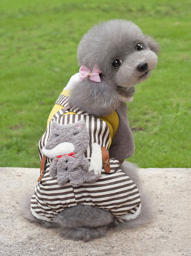 批发金冠宝贝狗狗衣服秋冬装泰迪比熊贵宾宠物服装潮流狗狗衣服