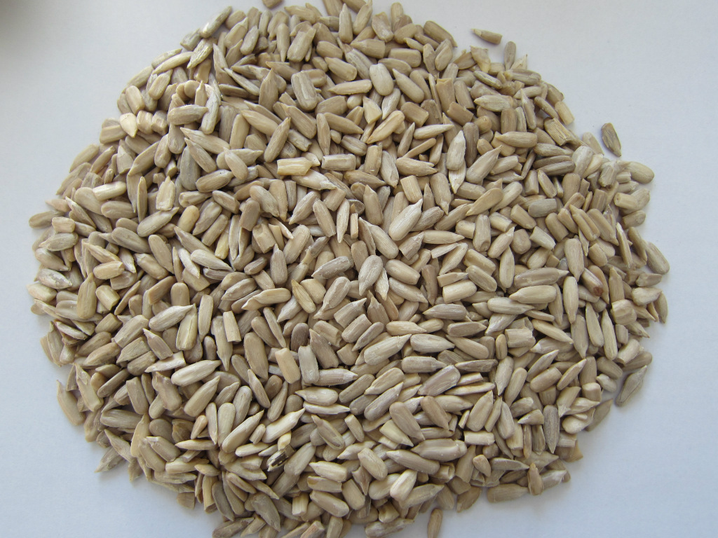 葵花籽仁 批发量大优惠 葵花籽仁出口 油葵出口