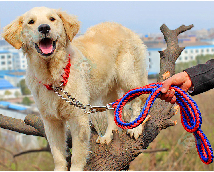 狗链八股款中大型犬狗绳 狗狗牵引绳金毛项圈狗链子套装牵狗绳