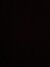 黑色植绒布 棉布长毛绒 防阻燃绒布 防静电绒布 底布绒面阻燃