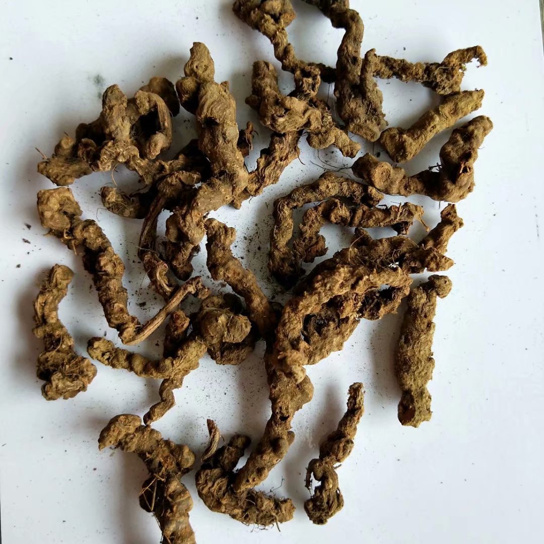 中药材大叶半边莲根 乙阴草根 每件500克