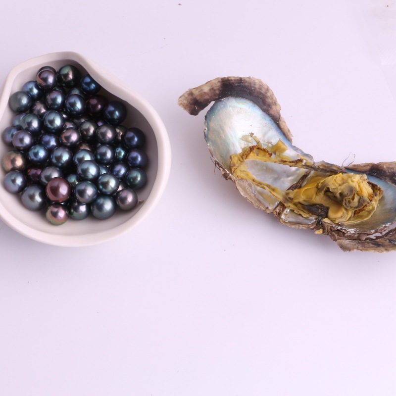 外贸海水珍珠蚌 真空包装 自然生长淡水近正圆强光黑色珍珠供批发