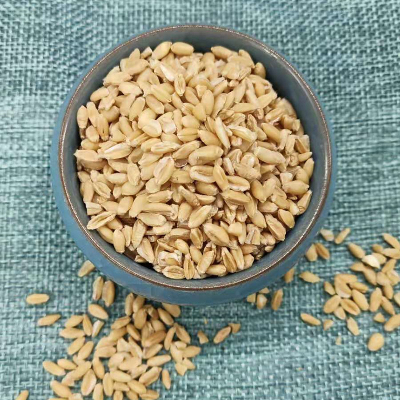 飒枫 浮小麦 一件代发 大货 无硫过筛 源头厂家