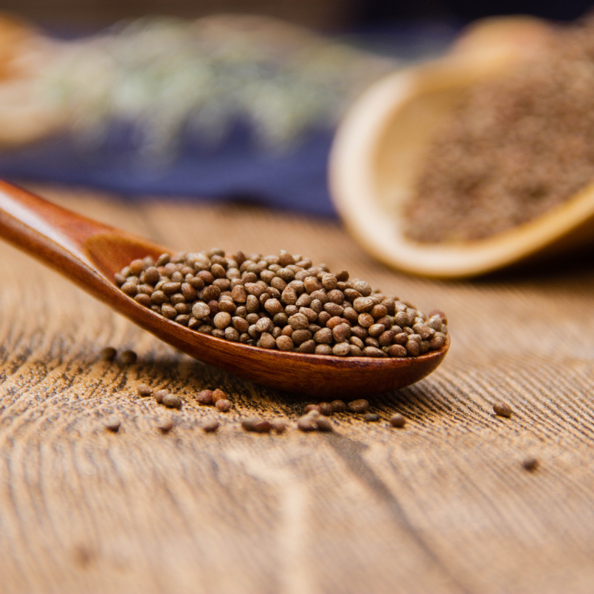 主营植物原药材,动物原药材,矿石原药材,名贵中药材