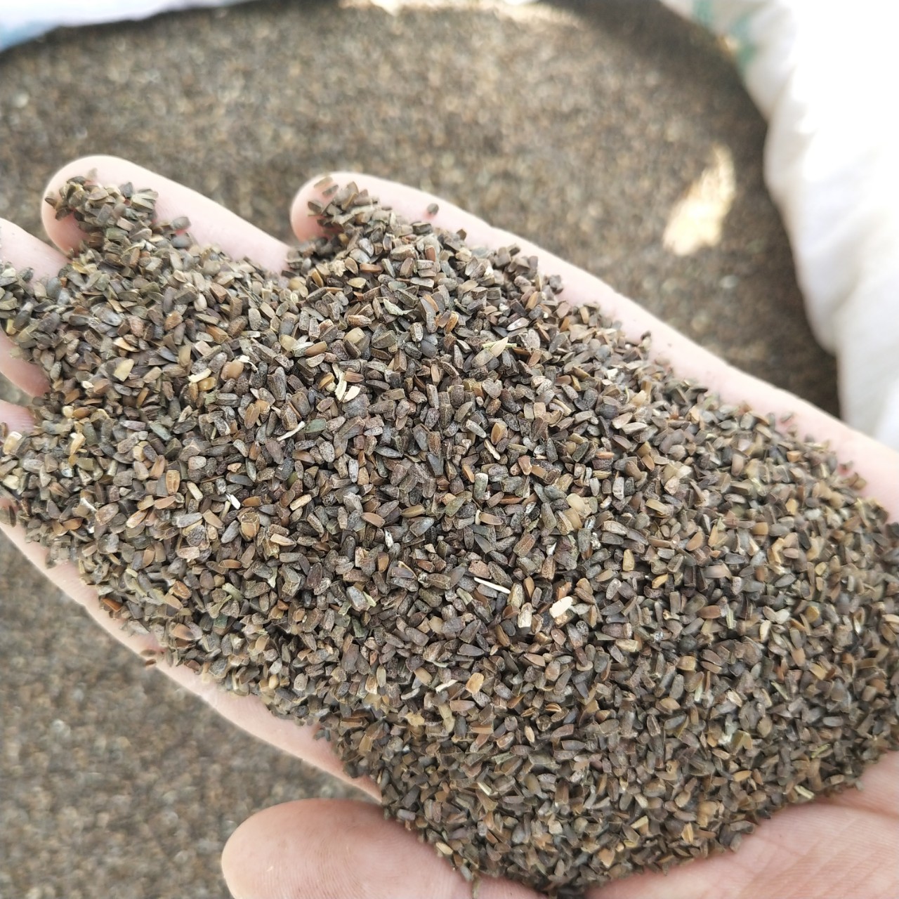 中药材 茺蔚子包邮