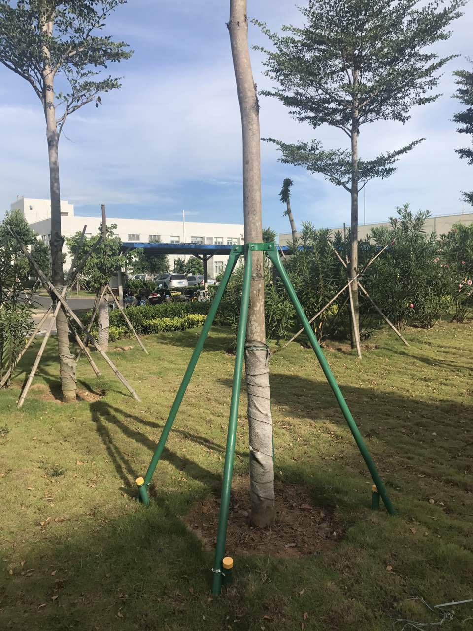 厂家直销园林树木支撑架绿化支架树木支撑 架子树木支撑架