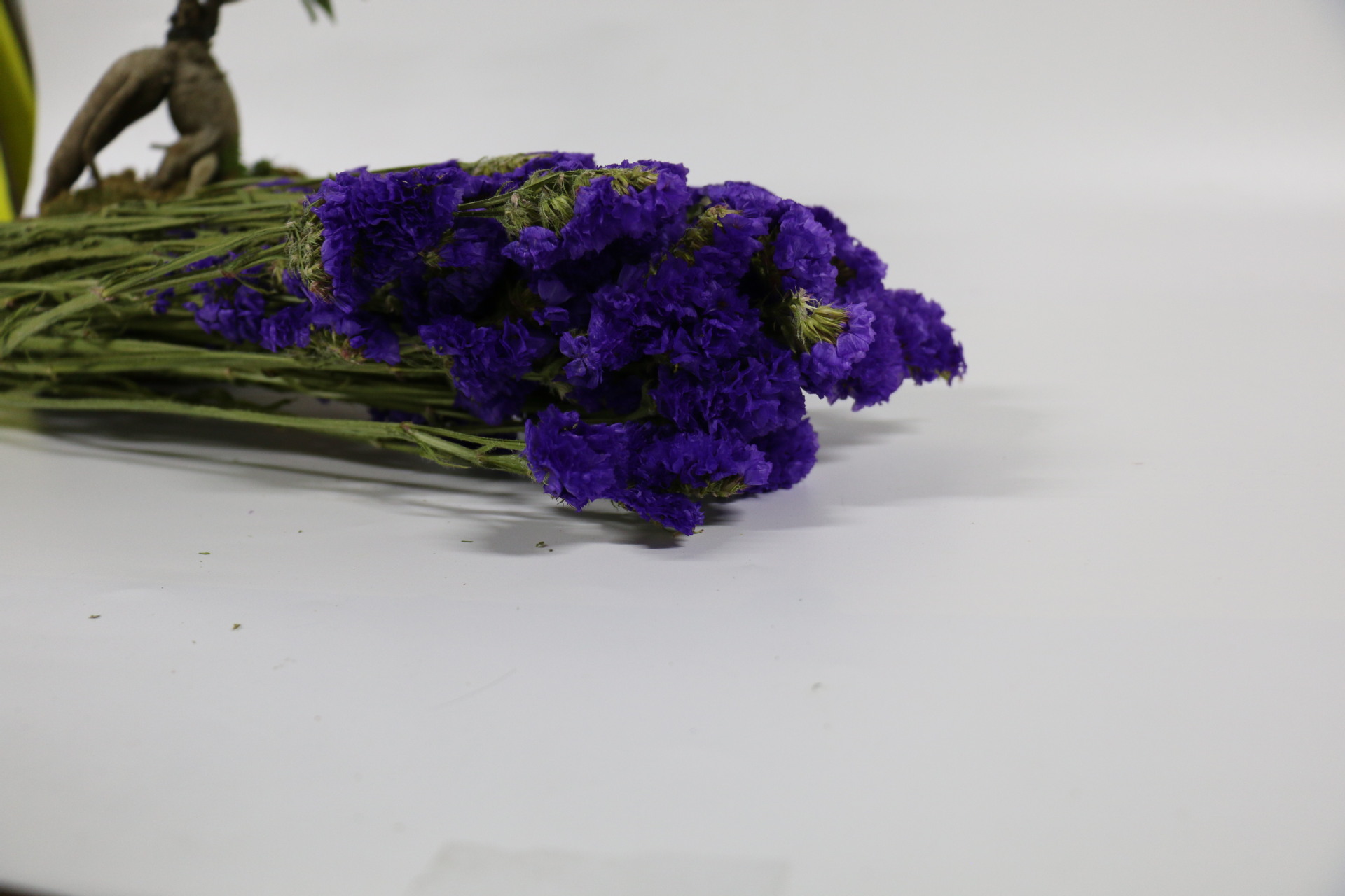 【勿忘我】厂家批发花艺辅材勿忘我干花干草客厅装饰素材干花花束