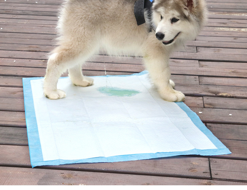 二郎神一次性宠物尿片 吸水宠物尿垫除臭狗狗尿垫狗狗尿片定制