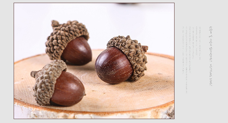 橡帽橡壳橡果家居摆件戴帽手工diy饰品点缀工艺品挂件拍摄道具