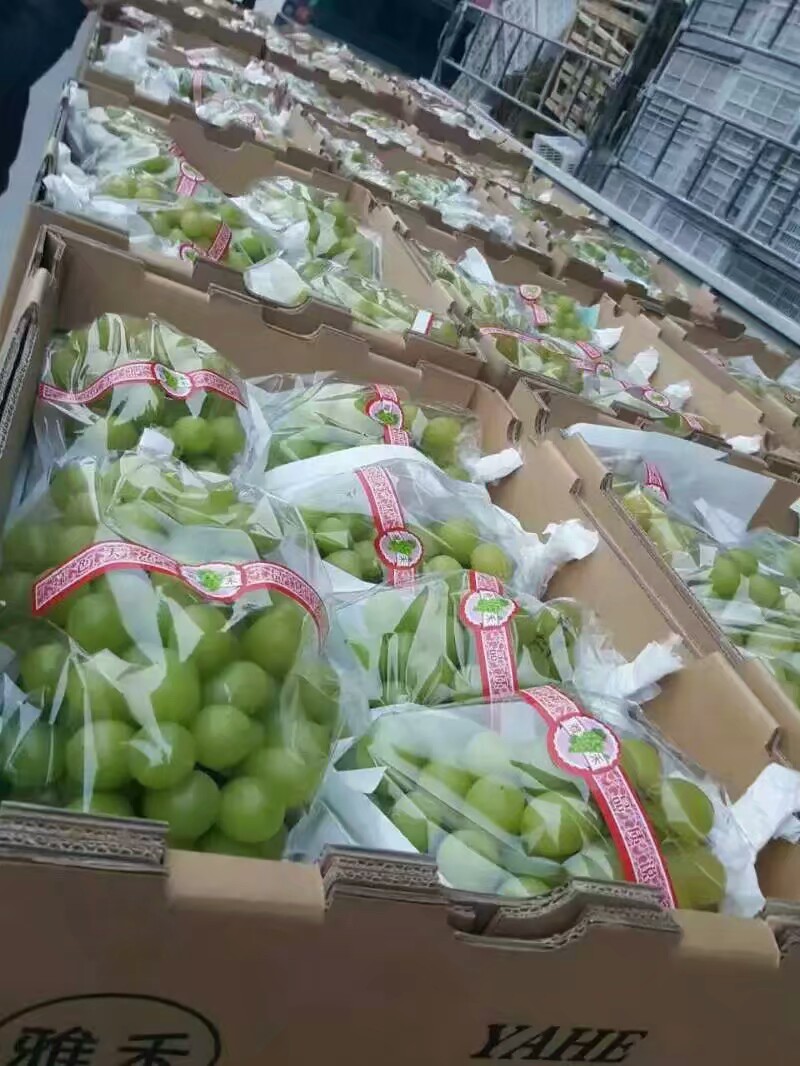 精品阳光玫瑰葡萄专用装箱包装 牛皮纸袋 淋膜纸袋厂家直销