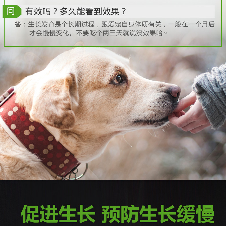 吉姆贝贝宠物狗狗发育宝 狗发育生长宝 全犬通用 300g/瓶