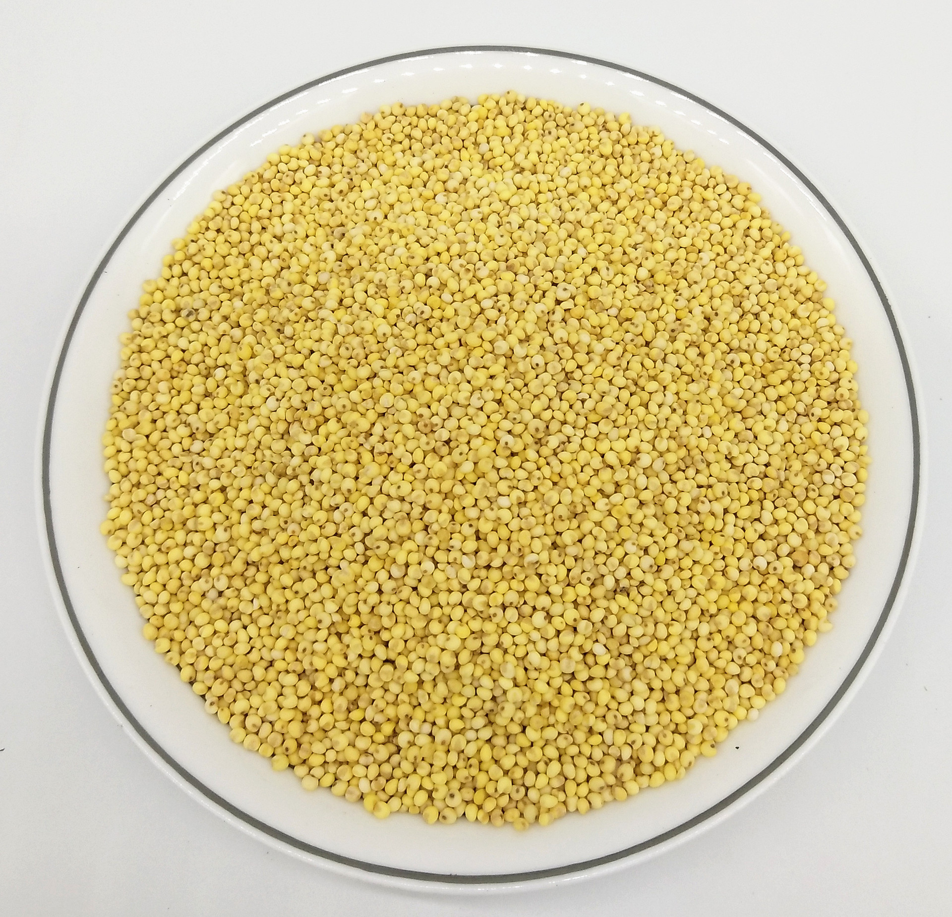 熟大黄米 低温烘焙五谷豆浆原料 批发现磨熟五谷杂粮食品磨粉原料