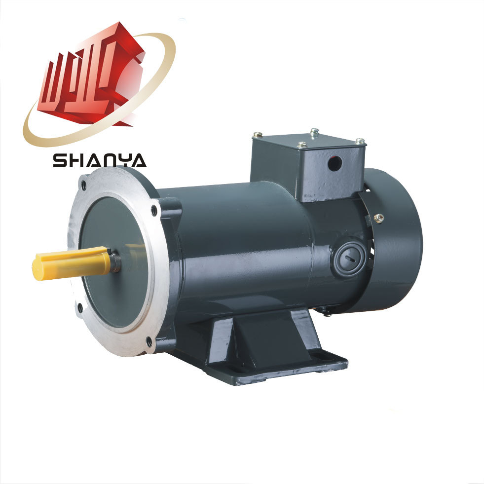 极数113zyt24-1/4-1750型号有刷直流电动机产品类型113zyt24-1/4-1750