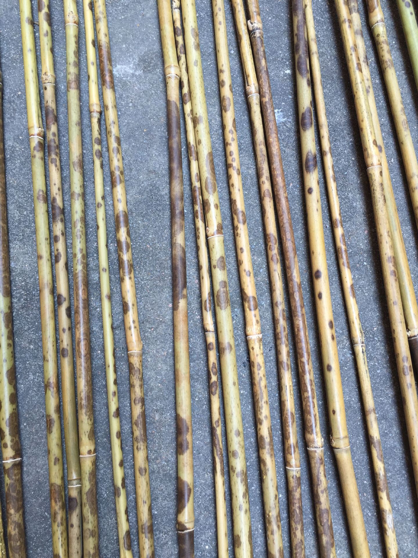 原产地供应原生态正宗九嶷山湘妃竹斑竹紫竹手柄高端精细团扇支架