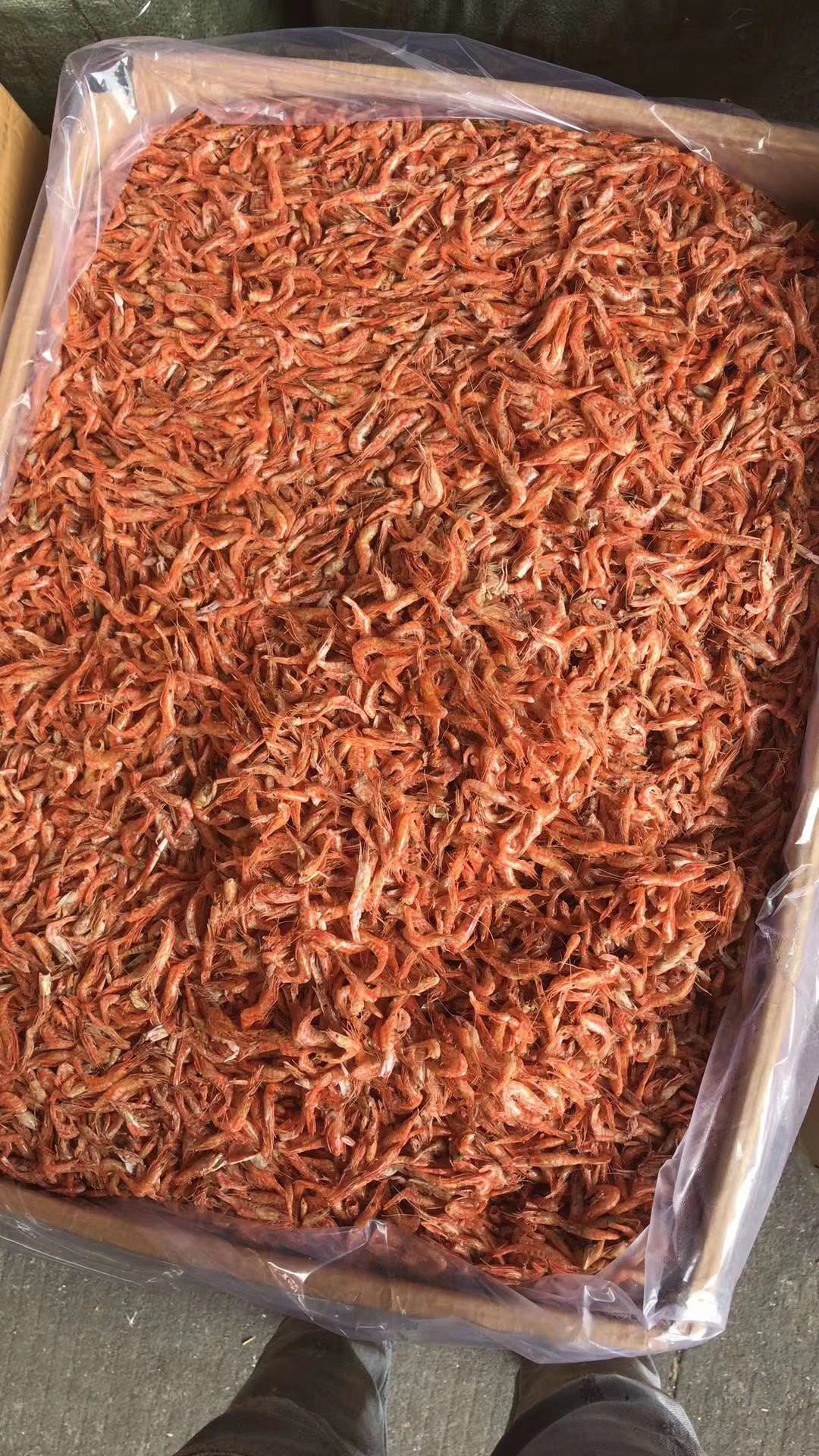 红虾干 小红虾 烘干虾 海鲜干货 海产干货