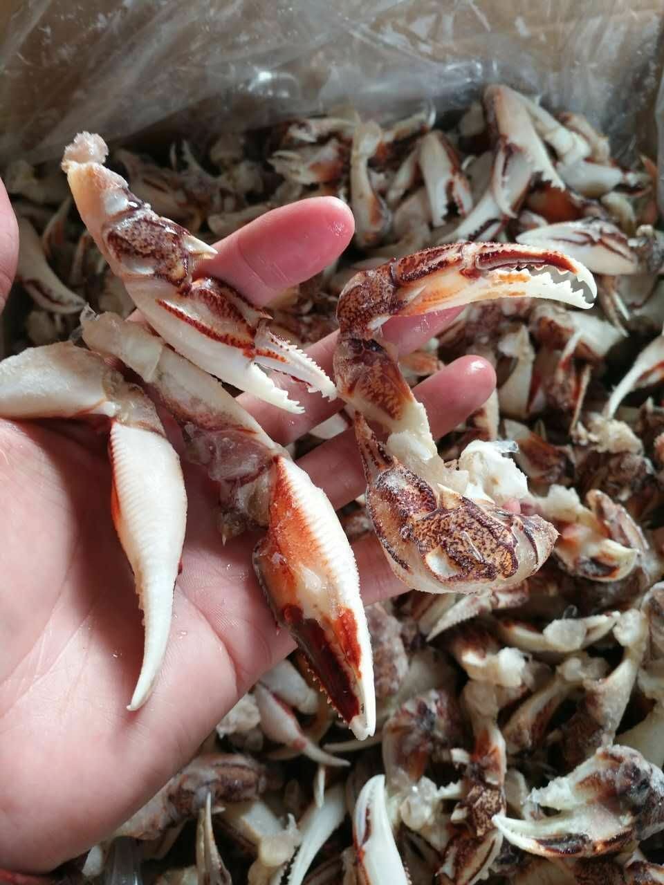 批发供应冷冻花蟹钳 醉蟹钳麻辣蟹脚捞汁海鲜麻辣食材原料供应