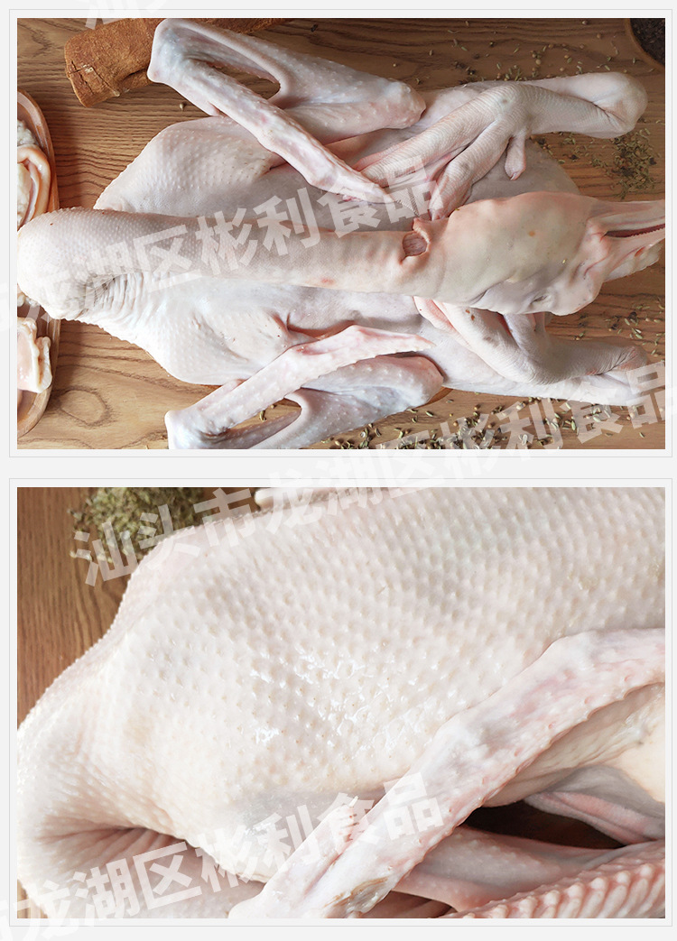 狮头鹅全鹅(小) 狮头鹅肉鹅 带翅掌 大鹅 卤鹅原料 屠宰狮头鹅