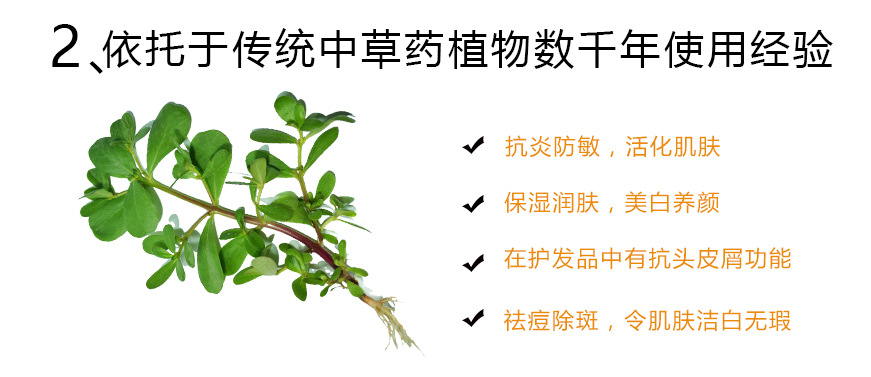 马齿苋纯露 化妆品原料马苋萃取液厂家直销马齿笕蒸馏液