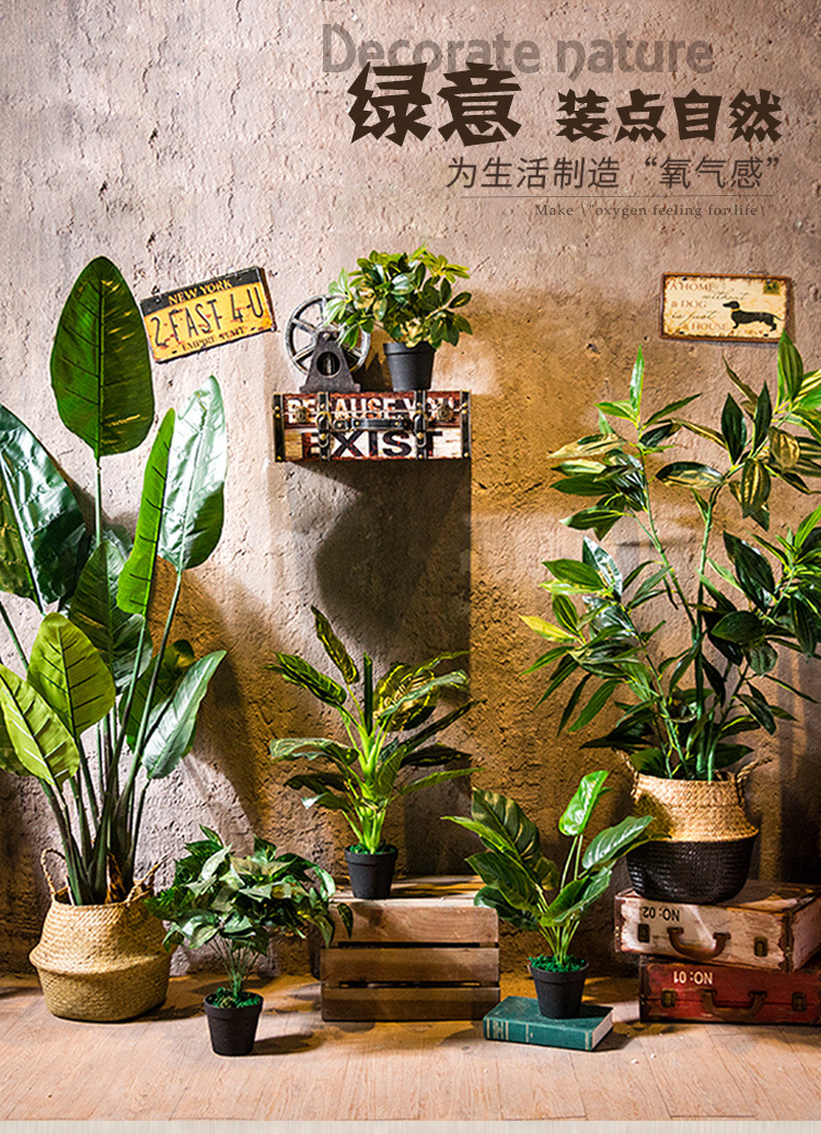 欧式咖啡馆主题餐厅门口仿真绿植盆栽大摆件酒店过道创意落地盆景