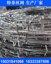 特菲专业供应刺线 带刺铁线 铁蒺藜 刺绳 量大从优 价格优惠