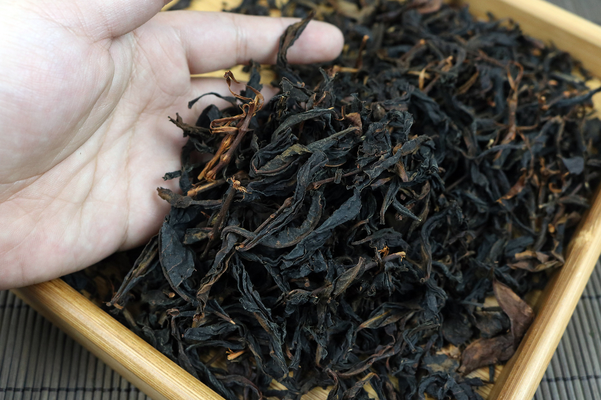 野生炭焙红茶 福建果香红茶小种花香野茶散装500g红茶 茶叶批发