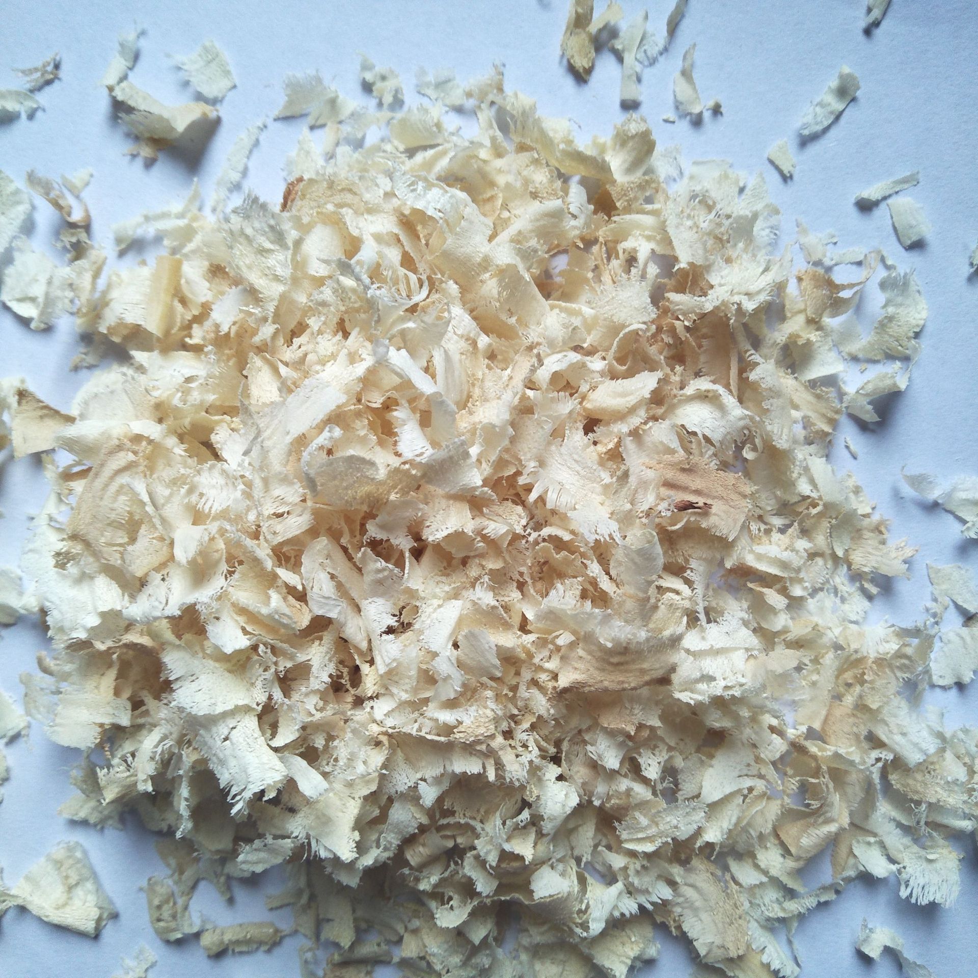 宠物实验室动物白杨木木屑仓鼠清爽散装刨花垫料欢迎订购