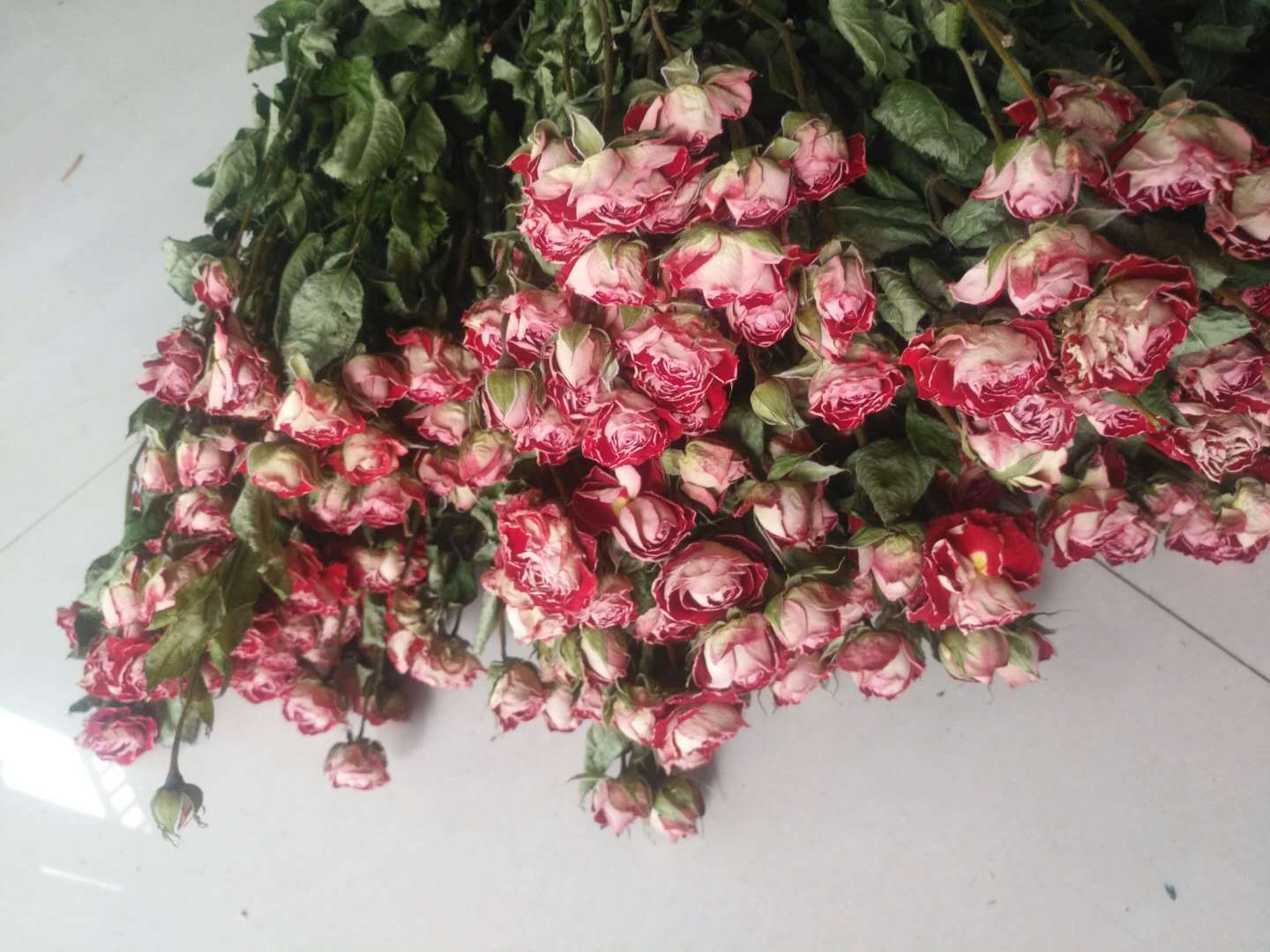 【多头小玫瑰】蔷薇 泡泡 多头玫瑰干花