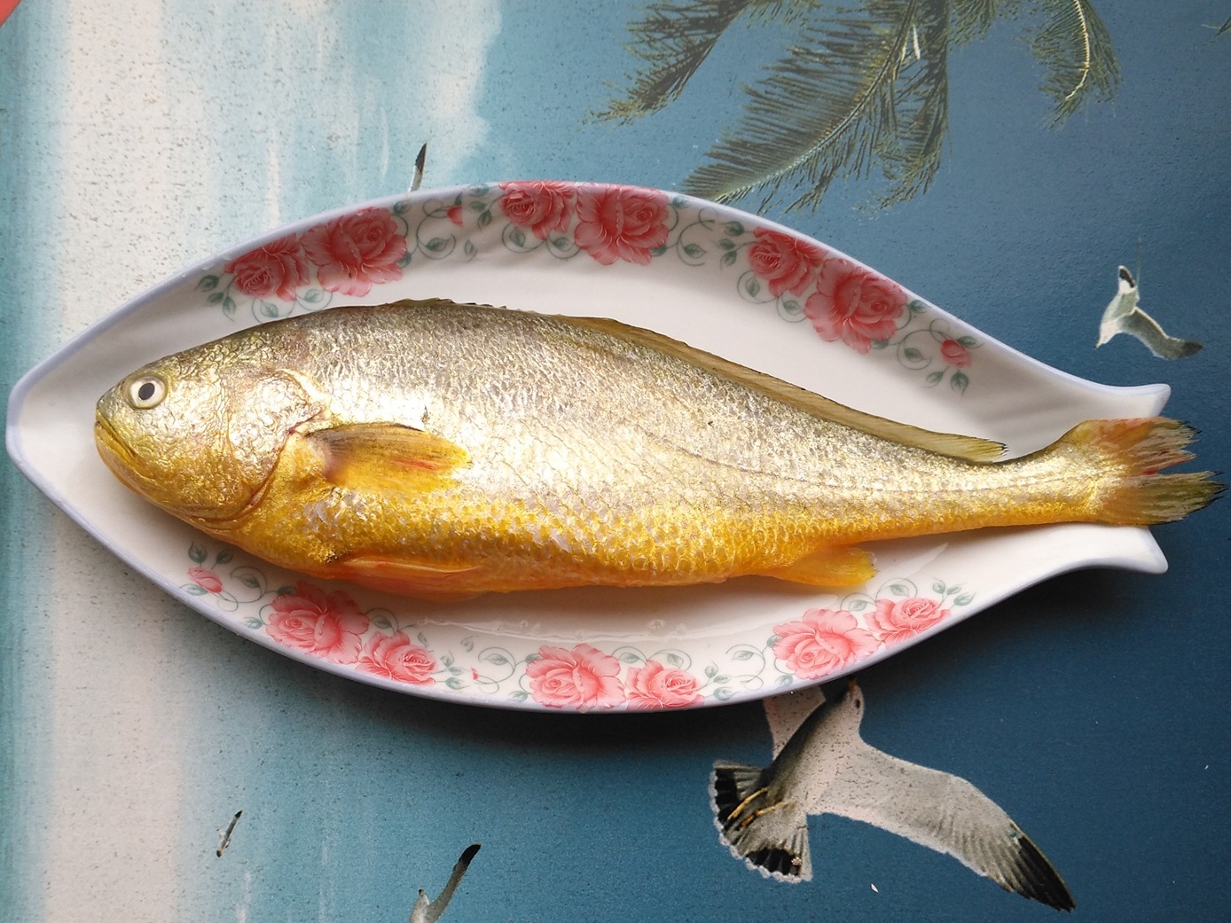 海鲜鲜活大黄鱼生态新鲜海鱼连云港水产批发生鲜生猛超大鱼类