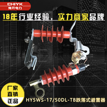 HY5WS-17/50高压氧化锌避雷器 10KV-12KV配电型高压避雷器 一组价