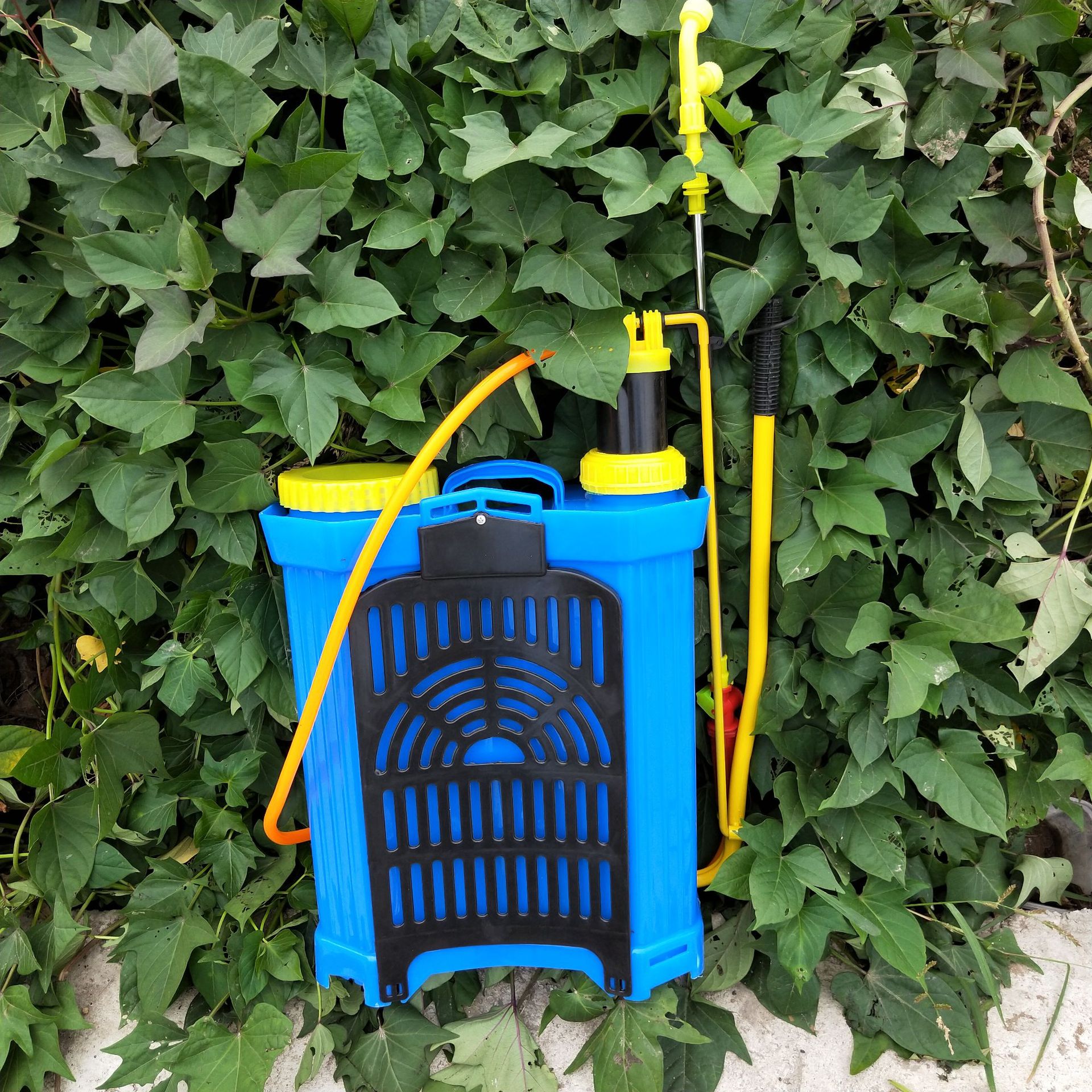 八角手压喷雾器手动气压农用果树背负式打农药园林喷雾器喷药