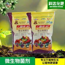 微生物菌剂活性有益菌 农用有机肥料黑色颗粒粉状菌肥土壤调理剂