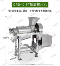 l工业不锈钢果蔬榨汁设备 大型生姜榨汁设备 鲜榨椰汁机商用