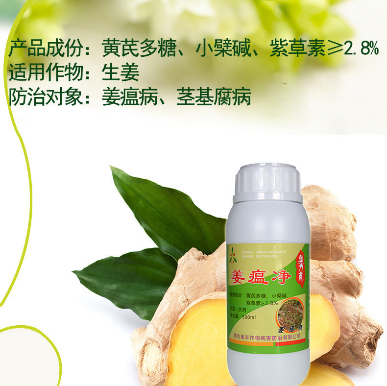 奥丰农药杀菌剂生姜用药 姜瘟净小黄姜瘟病烂脖子用药 厂家