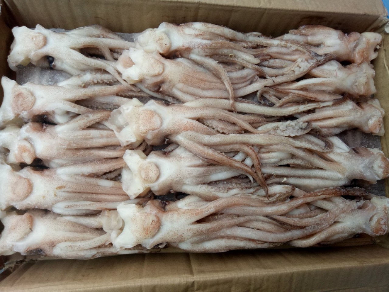 冷冻鱿鱼 冷冻鱿鱼头 冷冻软体类 冷冻鱿鱼须