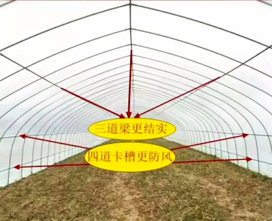 葡萄大棚 葡萄温室大棚 葡萄连栋大棚 葡萄避雨钢架大棚