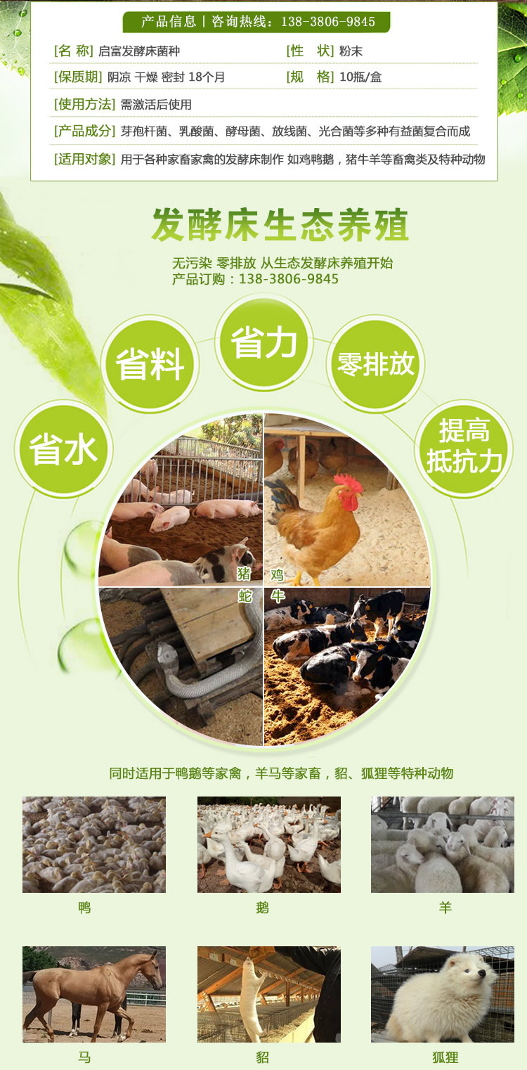 养鸡发酵床益生菌