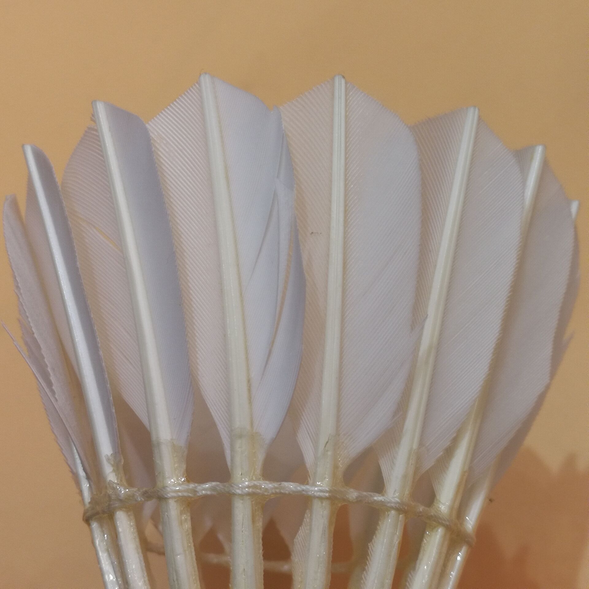 乔丹羽毛球鸭毛耐打 训练用球 飞行稳定室内外球一件代发