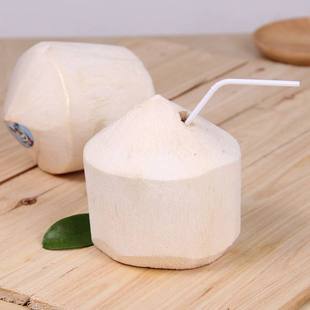 海南椰青 新鲜椰子 热带水果 送开椰器 4个,9个装包邮