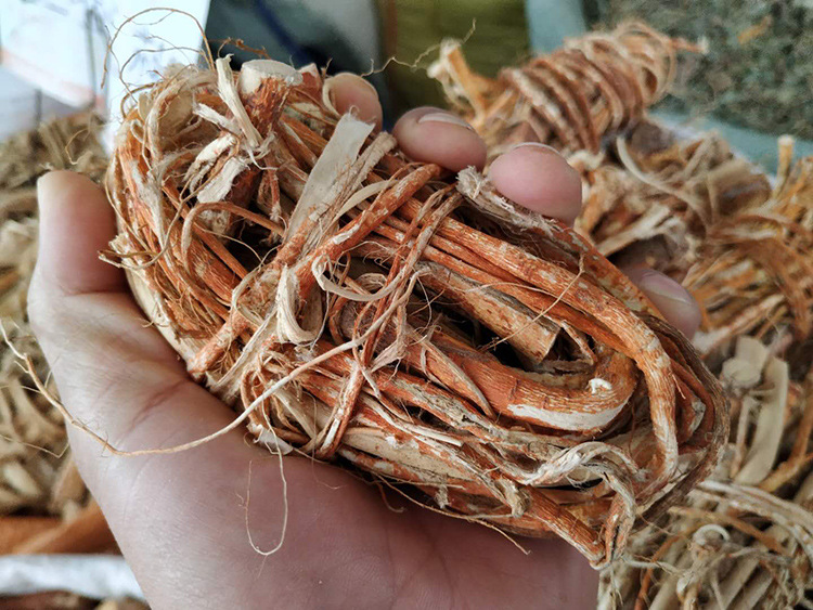 五指牛奶中条五指毛桃根中段中药材五爪龙煲汤料批发