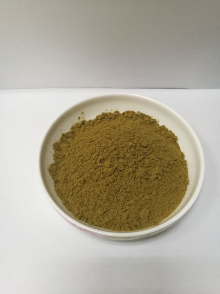 朝鲜蓟提取物 朝鲜蓟粉 厂家直供 朝鲜蓟浓缩粉 斯诺特