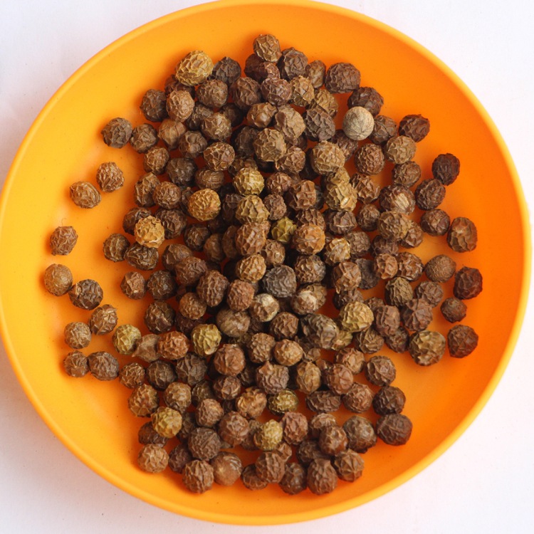 批发供应青桐种子 颗粒饱满 绿化林木树种子 量大优惠