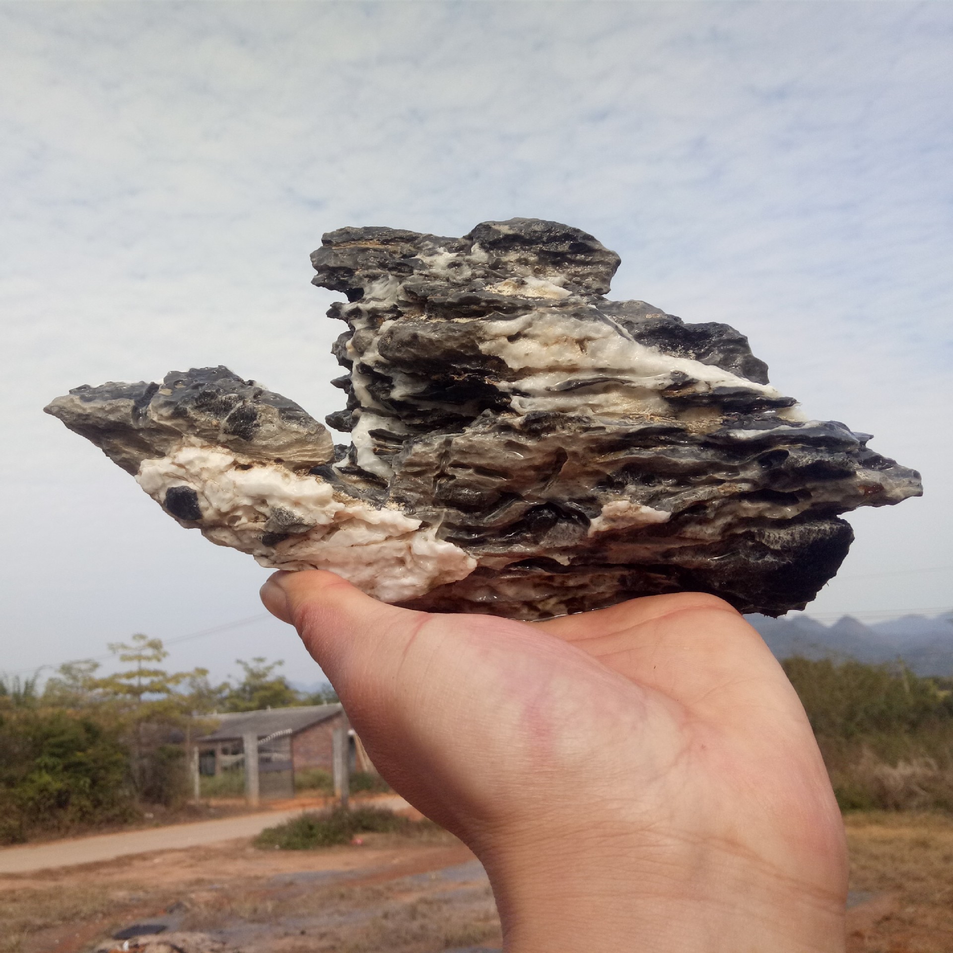 英德批发英石 盆景假山石广东英德石附树石鱼池假山石鱼缸景观石