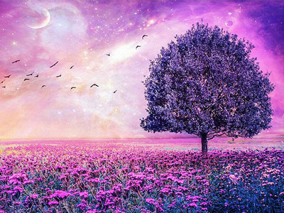 薰衣草梦幻树钻石画