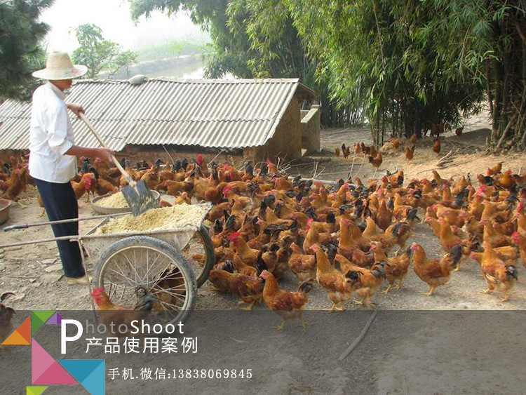 豫启富豆渣发酵剂客户使用案例