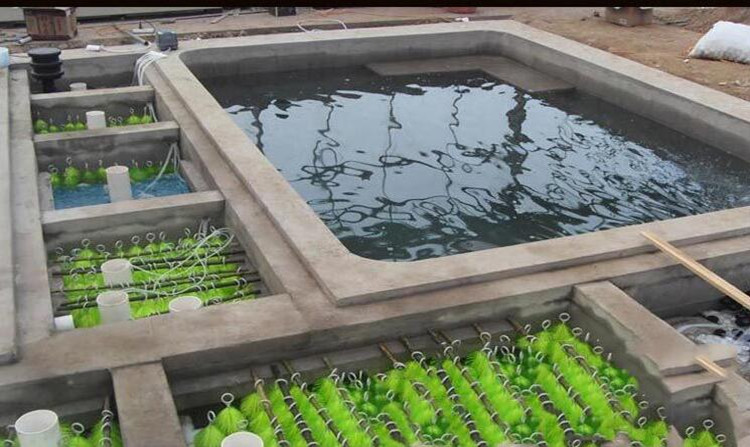 大型鱼池鱼缸过滤毛刷鱼池过滤材料十字生化过滤刷304不锈钢过滤