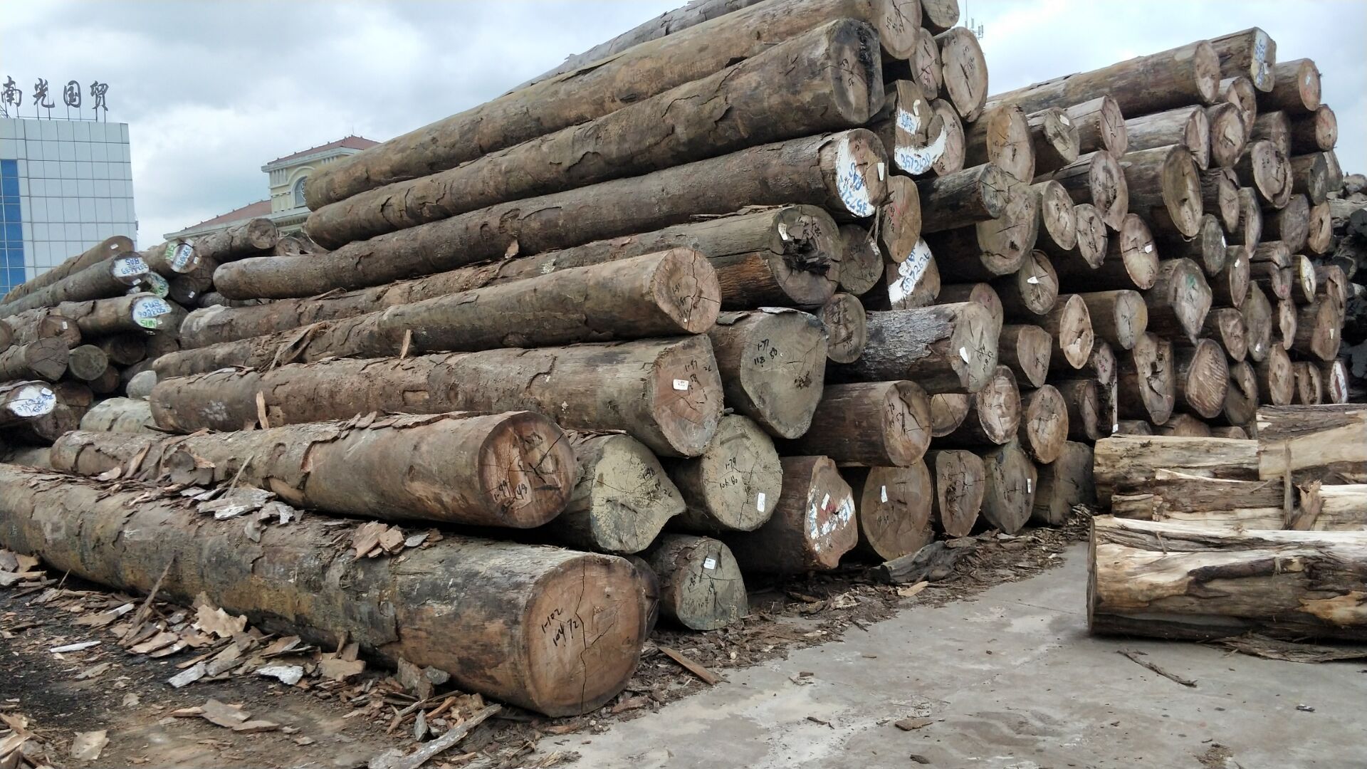 供应高品质进口柚木原木木材 南美花梨原木板材 防腐硬木批发