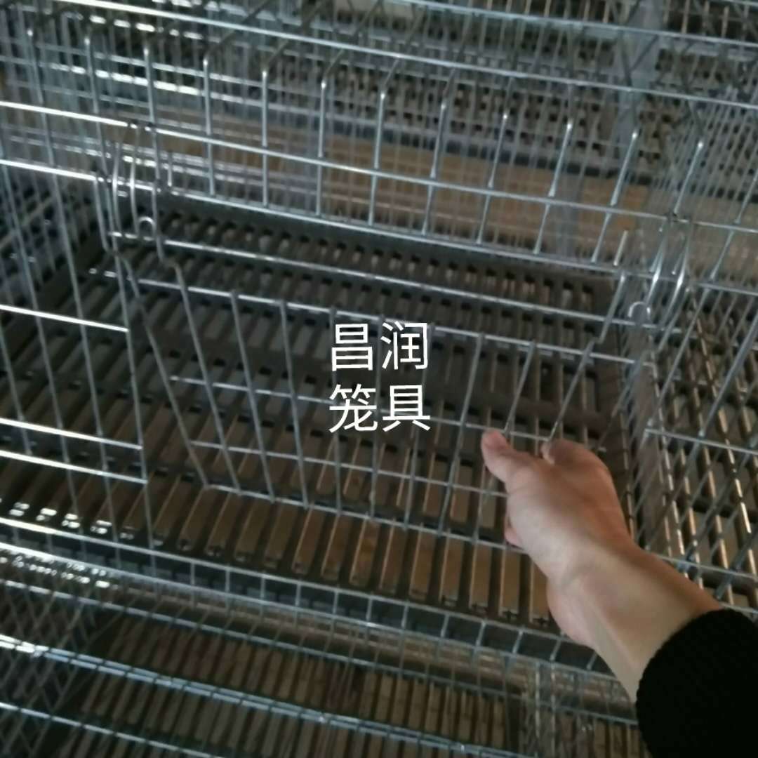 15831937205                     笼门上翻方便抓兔斜坡式设计粪尿