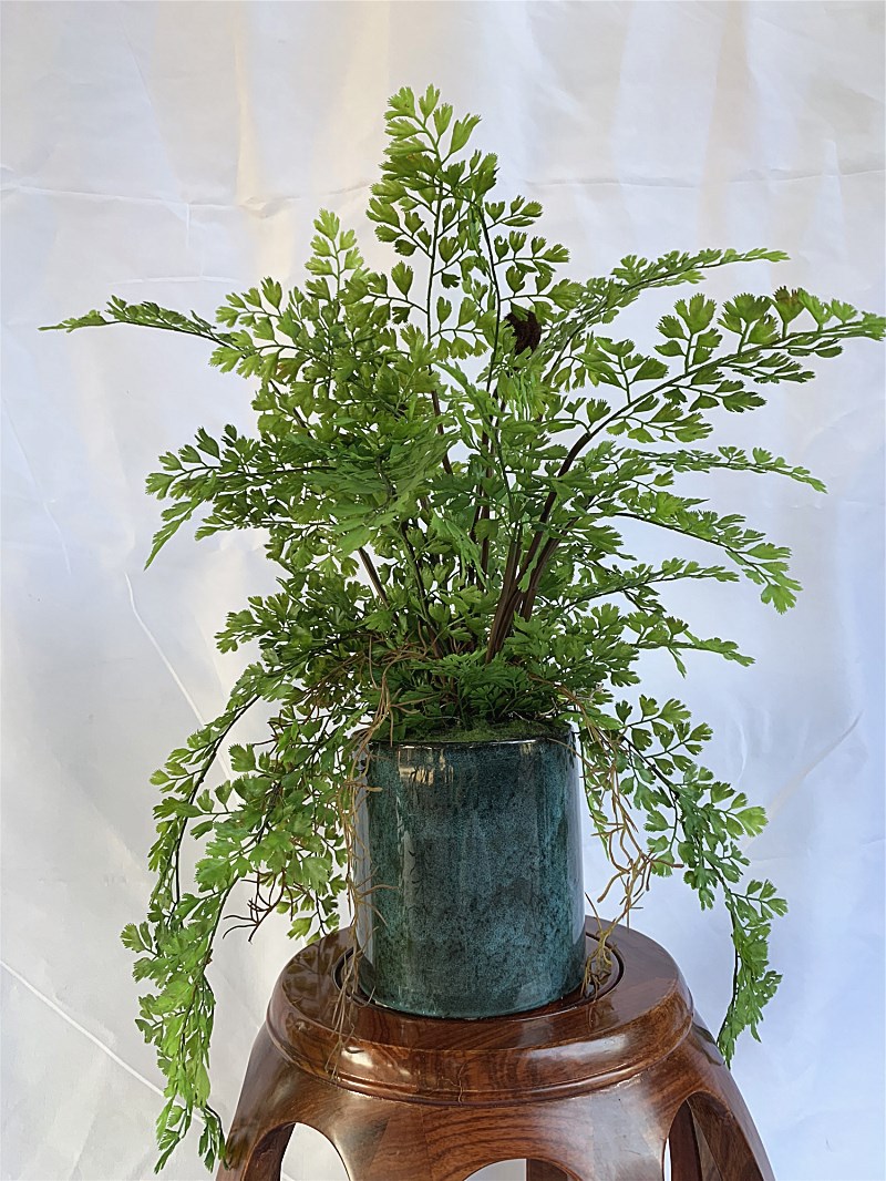 新品现货 外贸出口高仿真蕨树马尾蕨草森系落地绿植物盆栽栽装饰