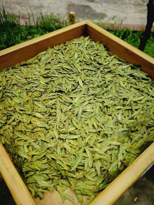 御香红2018新茶明前龙井茶龙井43散装1斤批发厂家直销