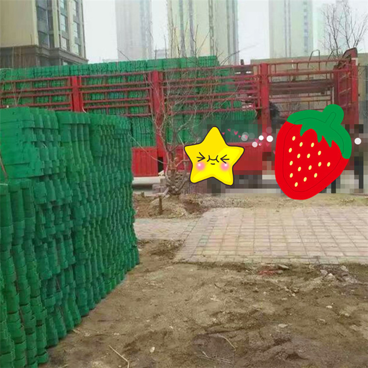 方形植草格河道装饰地面塑料花砖田园栅格草砖花园植堤坝城